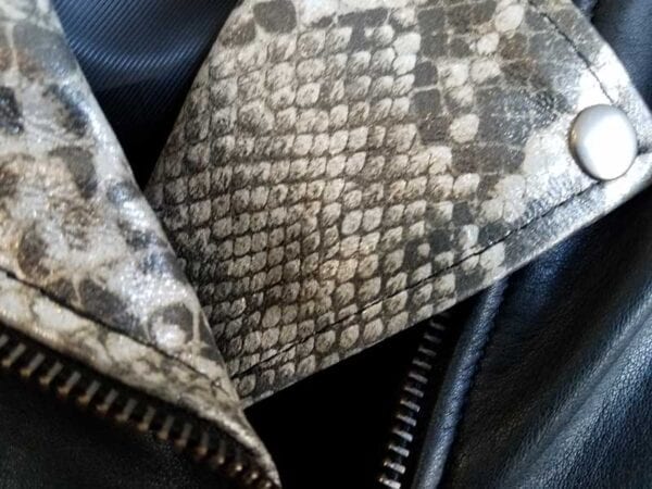 Closeup woman’s snake collar jacket